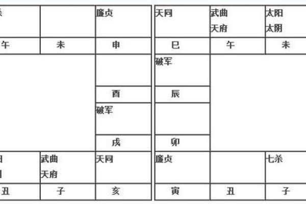2025年2月21日寅时男命紫微斗数全解盘
