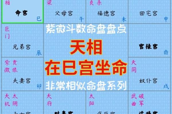 2025年2月27日子时男命紫微斗数全解盘
