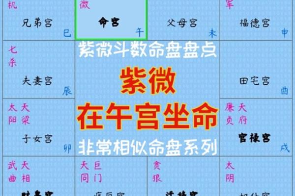 2025年2月22日丑时男命紫微斗数全解盘