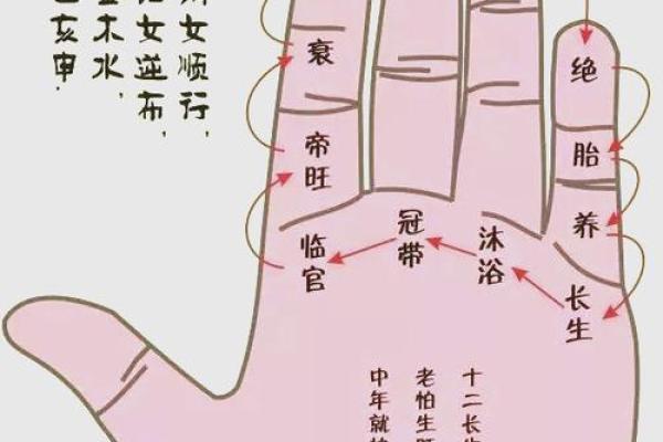 夫妻宫贪狼星_夫妻宫贪狼星旺