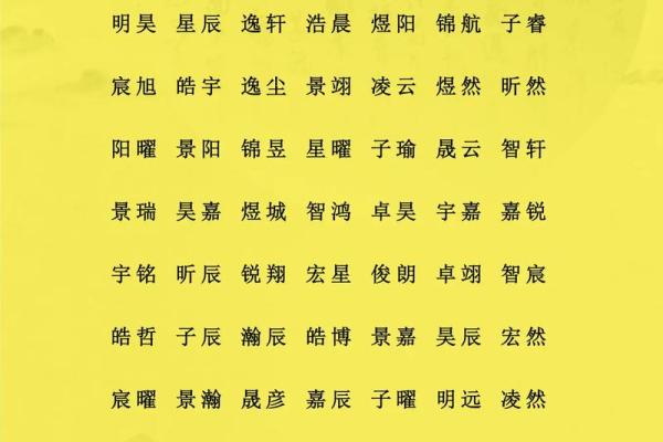 如何给凌晨5点出生的属鸡男孩取名字最合适姓名