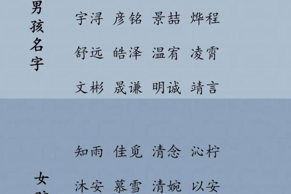 教你给属鸡酉时出生的男孩起名的实用技巧姓名