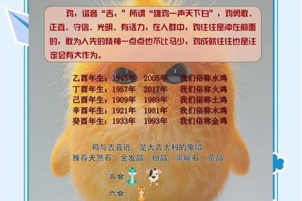 上午11点出生的属鸡男孩适合怎么样取名字姓名